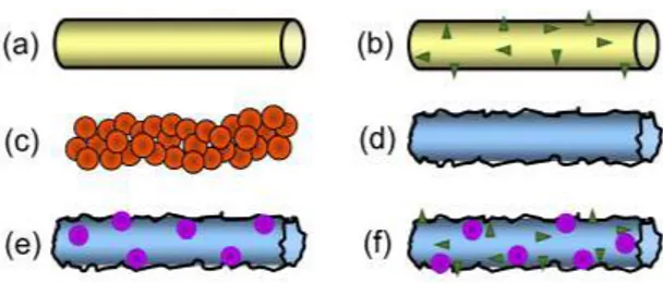 Figure 3. Sketch of the main electrospun fiber typologies produced (a,b) without and with (c) single-