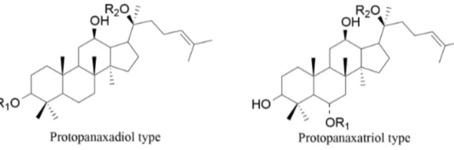 Figure 6. Protopanaxadiol and protopanaxatriol type saponins [89,92]. 