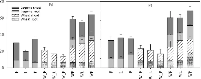 Figure  3.3.  Dry  matter  accumulation  and  partitioning  in  legume  and  wheat  grown  in  sole  crop  (W=  wheat,  F=  faba;  L=lupin;  P  =pea)  and  intercropping  (WF;  WL;  WP)  at  two  phosphorus  supply  (P0  and  P1)