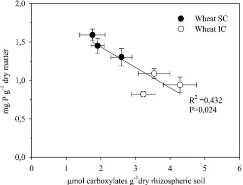Figure 3.8. Total carboxylates production, at limited phosphorus condition, in wheat rhizospheric  soil  plotted  versus  phosphorus  concentration  in  intercropping  (WIC)  an  sole  crop  (WSC)  respectively  indicated  by  (open)  and  with  (closed  s