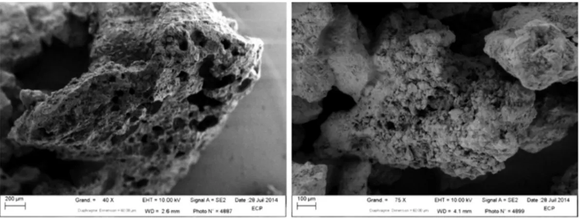 Fig. 1. SEM images of Lapillus samples using enlargements of 40  and 75, respectively.