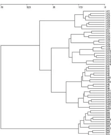 Fig. 3 - DECORANA ordination analysis of the communities EM, Esl and C-E in the alliance Genistion micrantho-anglicae.