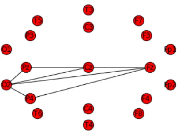 Fig. 2.8. The most significant motif characterizing the tracing segments with PSWCs