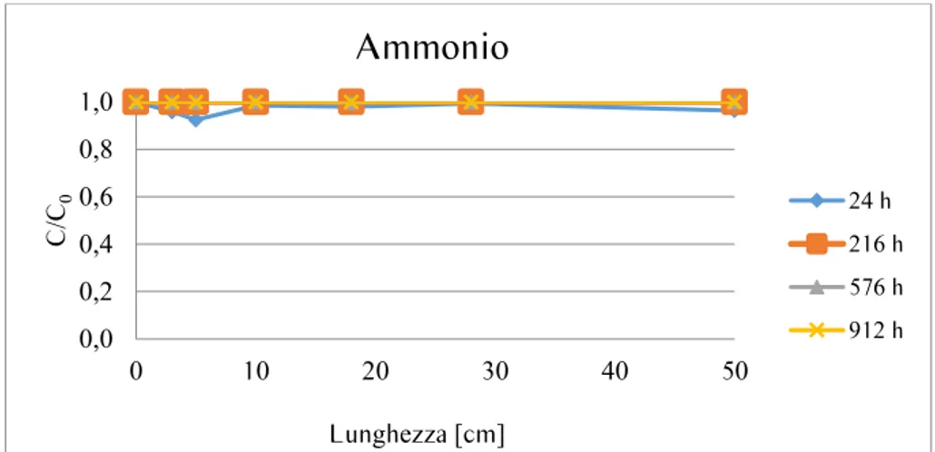 Figura 6.13: Concentrazione relativa di Ammonio in funzione dello spessore di mezzo reattivo per diversi  tempi di campionamento 