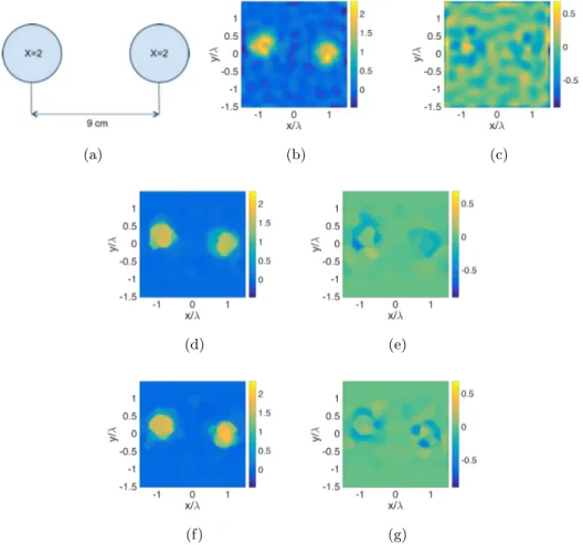 Fig. 2.12. DIVE with experimental data: Fresnel TwinDielTM target at 6 GHz. (a) Refer- Refer-ence profile