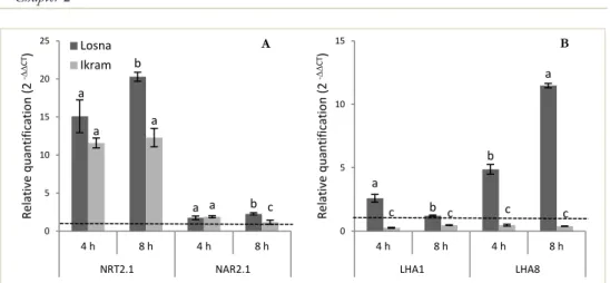 Figure  12.   Gene  expression  pattern  of  nitrate  transporter  family  NRT2.1,  NAR2.1  and  H + -ATPase 