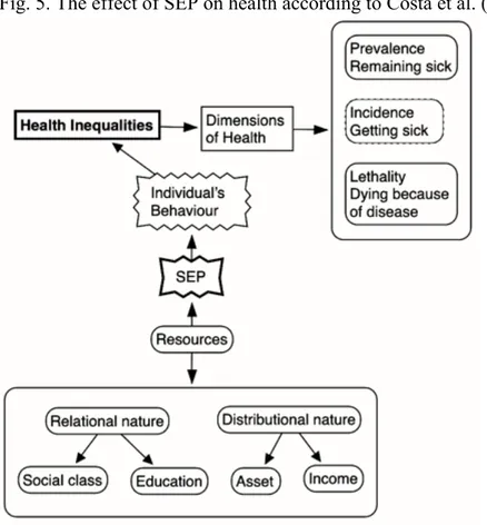 Fig. 5. The effect of SEP on health according to Costa et al. (2014). 