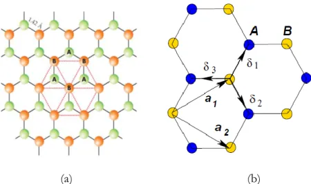Figure  1.3.  (a)  The  honeycomb  lattice  of  graphene  showing  the  two  sublattices 