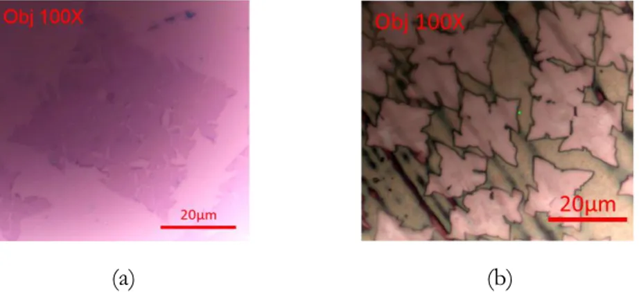 Figure 2.16. Optical image of graphene (a) on Si/SiO 2  and (b) on copper substrates. 