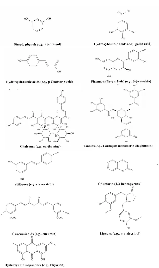 Figure 12 - Basic chemical structure of phenols in fruits and vegetables (Apak et al., 2007) 