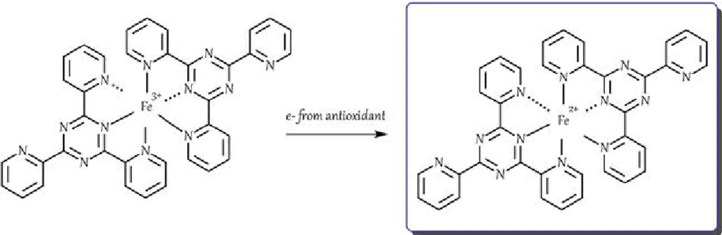 Figure 17- Reaction mechanism of FRAP in presence of an antioxidant. (Santos-Sánchez,  2019)