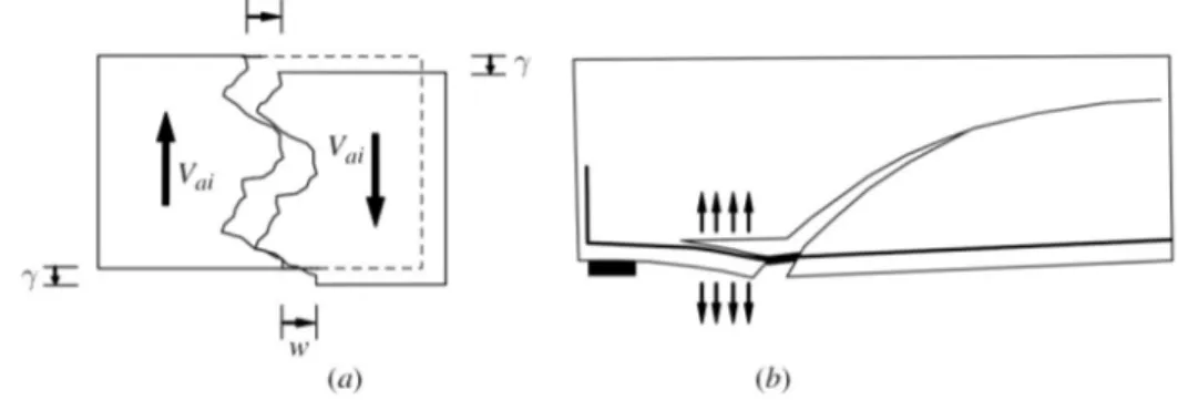 Figura 8. Contributi relativi a: (a) ingranamento degli inerti; (b) effetto spinotto 1