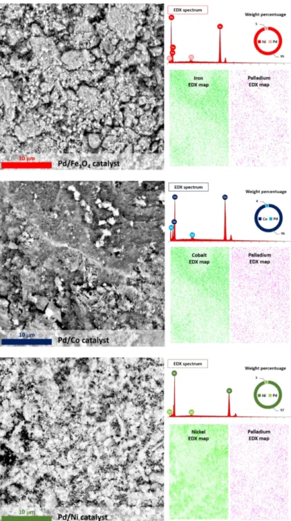 Figure 4.3 SEM images of Pd-based catalysts. 