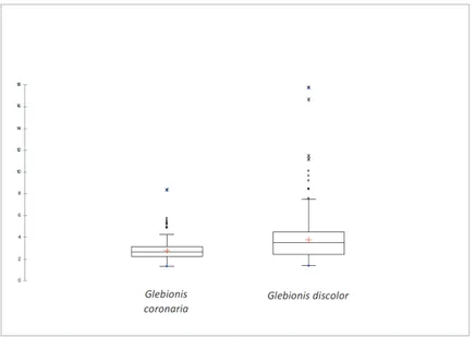 Figure 5. Statistical analysis by box plot of ratio cypsela-wing width of Glebionis coronaria and G