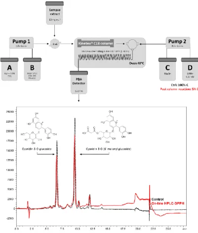 Figure  1.  On-line  High  Performance  Liquid  Chromatography-Photodiode  Array-2,2′-Diphenyl-1-