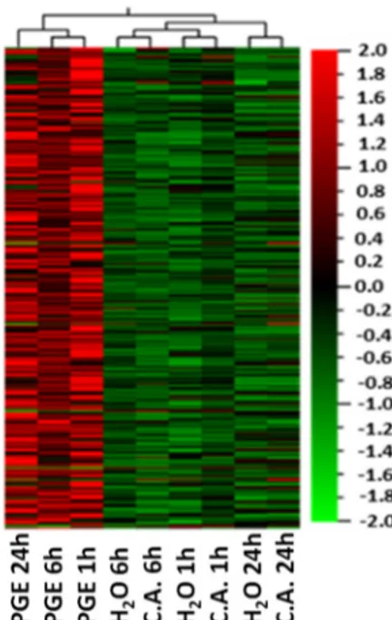 Figure  1.  Hierarchical  clustering  heatmap  of  differentially  expressed  genes  (DEGs)  in  orange  fruit  treated with PGE, citric acid (C.A.) or water (H 2 O) 1, 6 and 24 h post treatment (hpt). Colors indicate  the level of expression as indicated 