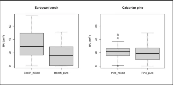 Figure 4. BAI values (mean values) in the pure and mixed-species stands for European beech (linear mixed-effect, p  &lt; 0.05, R 2  = 0.437; Mann-Whitney Test, Z=-4.345, p&lt;0.0001) and Calabrian pine (linear mixed-effect, p =0.271, R 2  = 