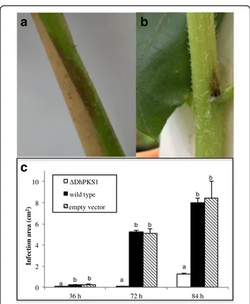 Fig. 7 Pathogenicity bioassay of Diaporthe helianthi strain 7/96 (a) and ΔDhPKS1 mutant 7/96-Tr1 (b) on sunflower stem