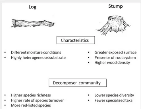 Fig. 2 - Main differences of logs versus stumps and characteristics of the associated