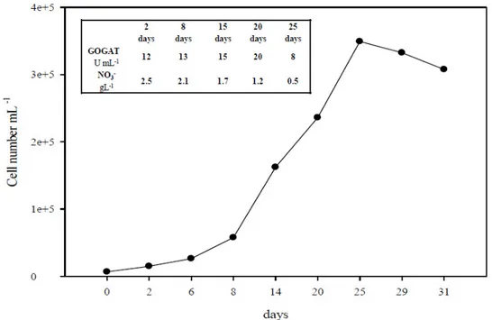 Figure 1. Cell growth curve, Glutamate Synthase (GOGAT)activity and nitrate depletion in the  medium during the cultivation period