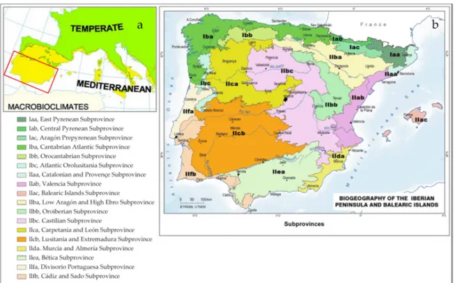 Figure 1. Location of the study area (red rectangle): (a) macrobioclimate map of Europe