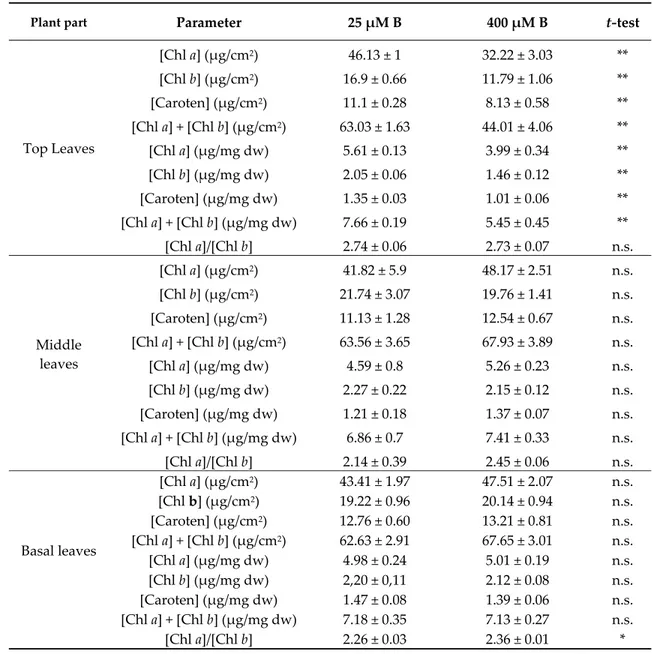 Table 4. Effects of B concentration in the nutrient solution (25 or 400 μM) on photosynthetic pigments 