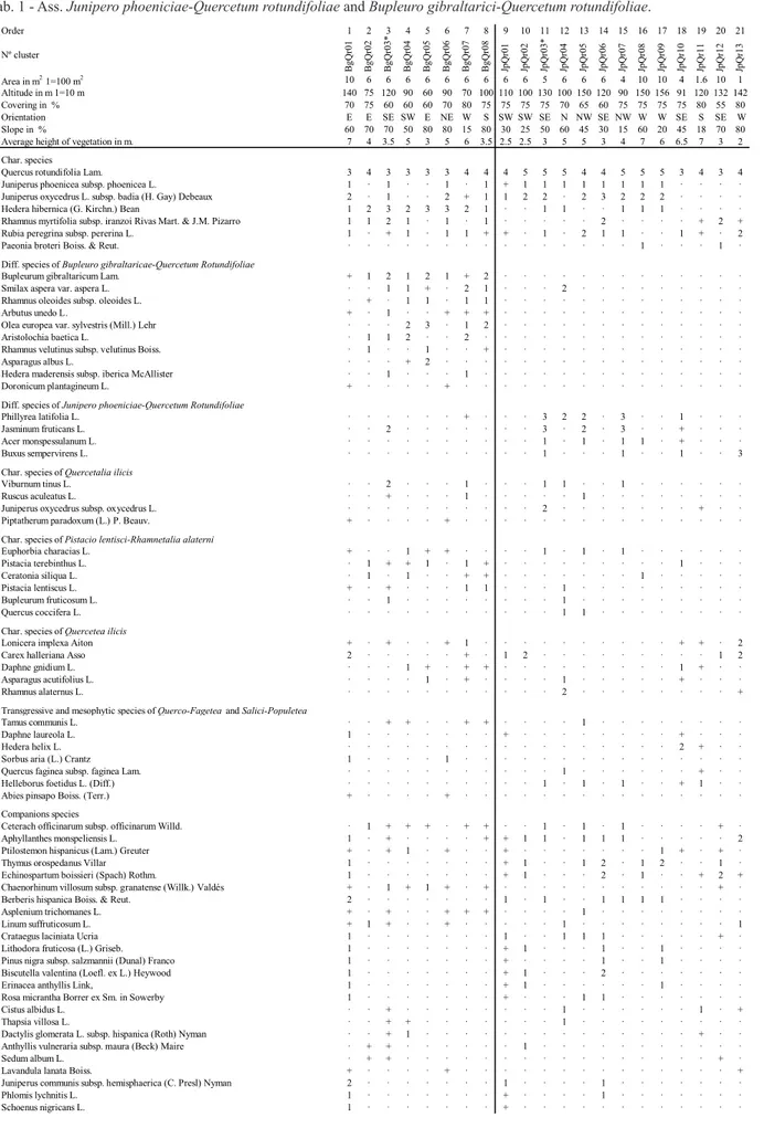 Tab. 1 - Ass. Junipero phoeniciae-Quercetum rotundifoliae and Bupleuro gibraltarici-Quercetum rotundifoliae