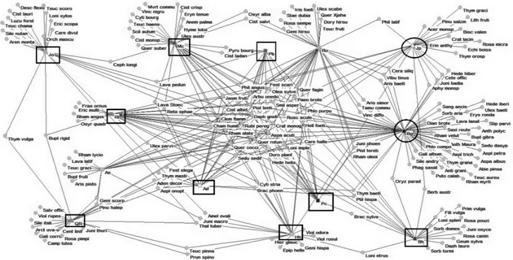 Fig. 4 - Network of the phytosociological placement of the associations studied.