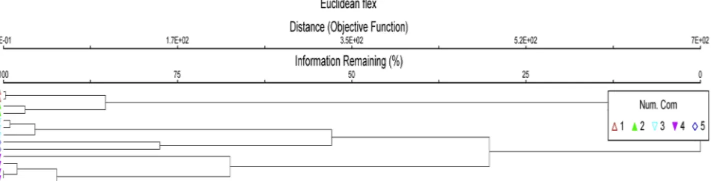 Fig. 3 - Dendrogram rising from the cluster analysis of the relevés of aquatic vegetation