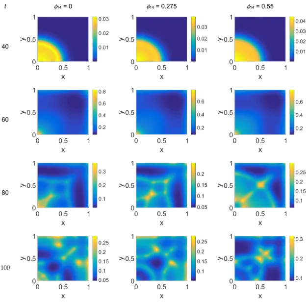 Figure 6. Snapshots of VN concentrations obtained in the simulated domain imposing  φ 51  = 0.375