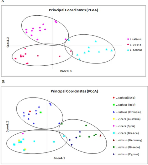 Figure 4. A two-dimensional plot of Principal Coordinate Analysis (PCoA) based on Fst genetic  distance showing the clustering of forty accessions belong three Lathyrus species, (A) according to  species membership, (B) according to the geographic origin