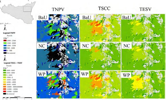 Figure 2. Maps showing the spatial distribution of total net present value (TNPV; €·ha −1 ), total social  cost of carbon (TSCC; €·ha −1 ), and total ecosystem services value (TESV; €·ha −1 ) for the simulated  forest management strategies (BaU, business-a