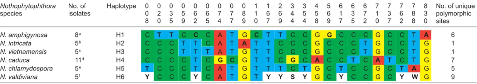 Table 5			Polymorphic	sites	from	a	897-character	long	partial	ß-tubulin	sequence	alignment	showing	inter-	and	intraspeciﬁc	variation	of	six	new	Nothophytoph- 5			Polymorphic	sites	from	a	897-character	long	partial	ß-tubulin	sequence	alignment	showing	inter