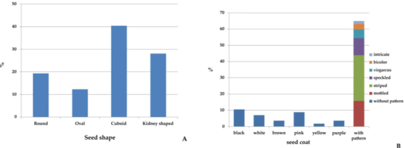 Figure 2. Percentage (%) of seed shape (A) and seed coat color and pattern (B) recorded on 57 Sicilian  common bean landraces