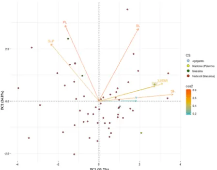 Figure 4. Principal component analysis (PCA) for quantitative parameters detected on 57 Sicilian  common bean accessions