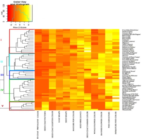 Figure 5. Heatmap of seed, pod and flower morphological traits of 57 Sicilian common bean  accessions based on Euclidean distances