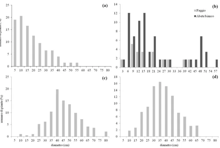 Fig. 2 - Area test Sila: distribuzione delle piante in classi di diametro. (a): Pinete a struttura disetanea (da: Ciancio et al