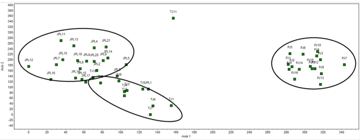 Figure 4. DCA ordination analysis of the associations Juniperetum phoeniceae-badiae (JPB), Teline  patentis-Pistacietum terebinthi (TP) and Pistacio terebinthi-Juniperetum badiae (PJ) in group GII