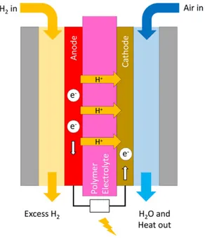 Figure 2. Scheme of a Fuel cell (the figure was produced on  its own by the Authors expressly for the submitted work R