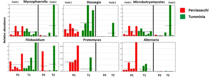 Figure 5. Differentially abundant genera between two ancient wheat varieties and two fields