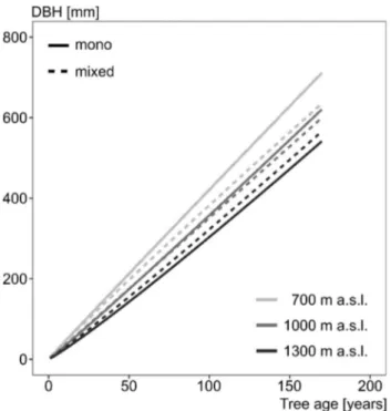 Fig. 4    Diameter–age relationship for beech in mono-specific (solid)  and mixed stands (dashed) at different elevations based on the 