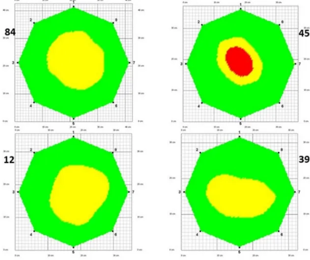 Fig. 2    Sonic tomographic images of cross-sections in four different sampled chestnuts showing internal defects