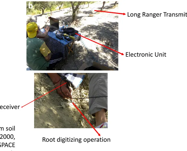 Fig. S2 a) Freeing of olive tree root system from soil using high-pressure air lances (Air-SPADE 2000, Chicopee, MA, USA); b) the 3D digitizer (3 SPACE Fastrak, Polhemus) constituted by the electronic unit, the magnetic transmitter (Long Ranger), and the s