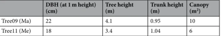 Table 1.  Aboveground parameters of the two olive trees characterized by manual (Ma) and mechanical 