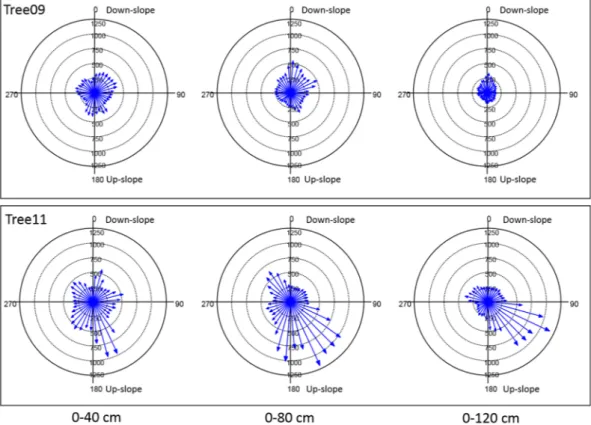 Figure 3.  Sonic speed (m s− 1 ) measured by Root Detector at different distances from the trunk (40, 80 and  120 cm) in 36 10-degree sectors for the two studied Olea europaea trees