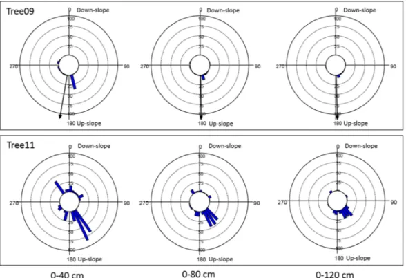 Figure 4.  Root biomass density (kg m −3 ) distribution at different distances from the bark surface (0–40 cm,  0–80 cm; 0–120 cm) and to 30 cm soil depth within 36 10-degree sectors for the two studied Olea europaea trees