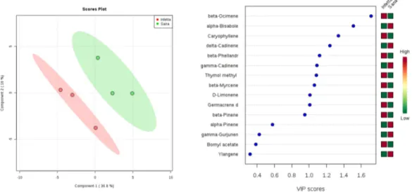 Figure 7. Partial least squares discriminant analysis applied to the Sampling #4 (PROCE-1) in Bova