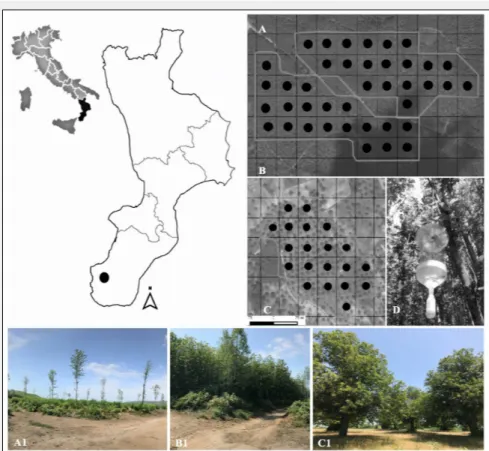 Fig. 1 - Location of the study area in Southern Apennines (Italy); black dots represent