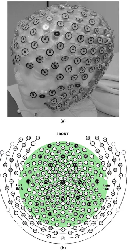 Figure 1. EEG recording system: (a) The 256-channel High-Density Electrical Geodesics EEG system