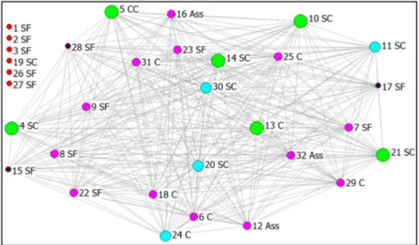 Figure 3. Sociometric graph “Socio-work inclusion” 1 = no activity (red color); 2 = low importance (black color); 3 = medium-low importance (pink color); 4 = medium-high importance (light blue color); 5 = high importance (green color)